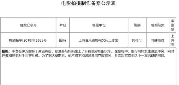 《囧妈》剧情主要讲的什么？什么时候上映