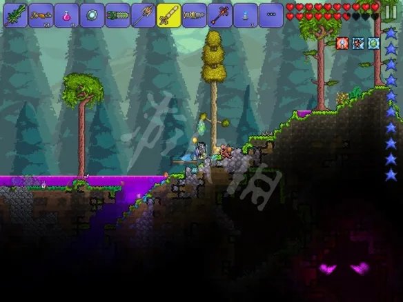 《泰拉瑞亚》丛林怎么去 丛林位置及生物群落介绍