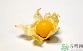 姑娘果的营养价值有哪些？姑娘果的功效与作用