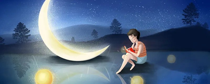 不负昭华是什么意思