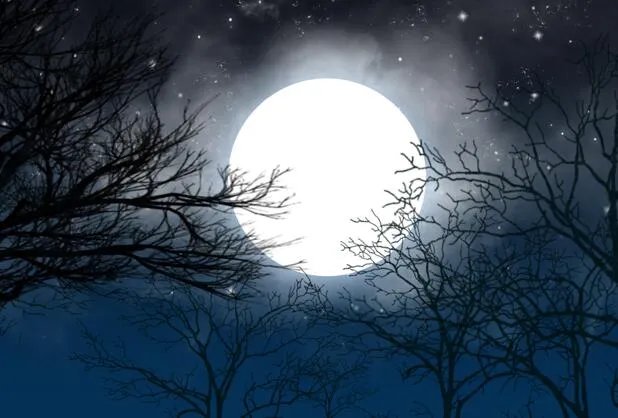 农历七月十四是什么节 七月十四是鬼节吗