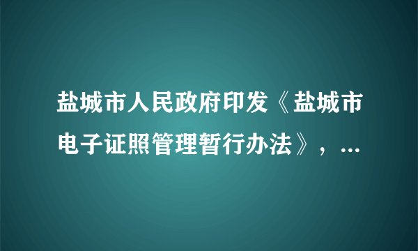 盐城市人民政府印发《盐城市电子证照管理暂行办法》，规范全市电子证照信息采集、制证签发、归集入库、共享应用、监督管理等相关活动，全面支撑“互联网+政务服务”提高政府行政服务效率。对此，以下理解正确的是（　　）A. 网络方便社会生活B. 网络促进经济发展C. 网络推进文化传播D. 网络提升国际地位