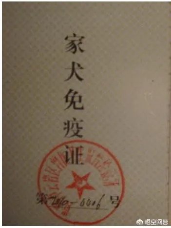 给宠物狗办证需要什么流程？有必要吗？