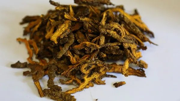 蜂胶功效 蜂胶功效营养价值有哪些