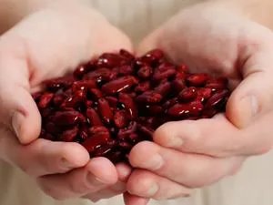 去湿气的食物 6种食物助你去除体内湿气