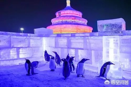 哈尔滨的冰雪大世界值得去吗？