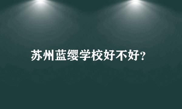 苏州蓝缨学校好不好？
