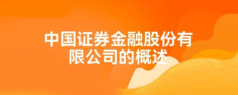 中国证券金融股份有限公司的概述