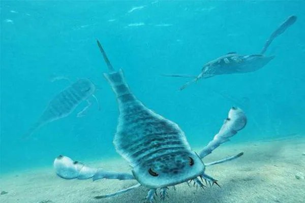 十大灭绝恐怖动物名单，所幸都已经成为化石