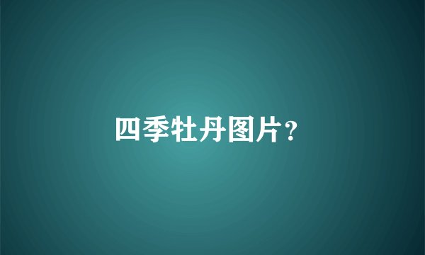 四季牡丹图片？