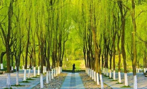 杭州西湖十大景点有那些