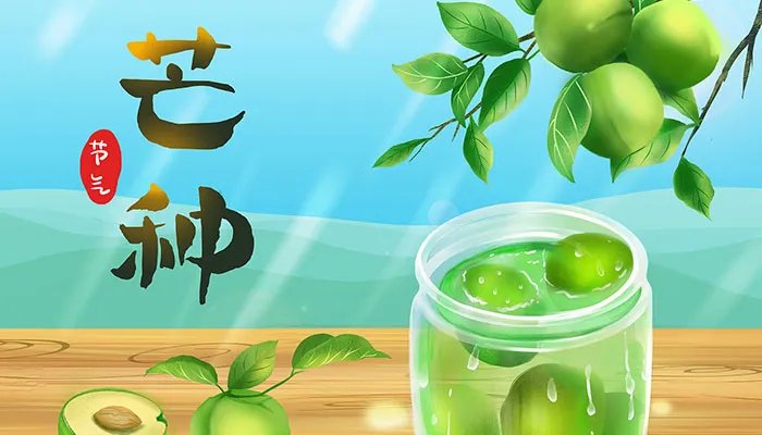 芒种节气吃什么食物 芒种适合吃什么