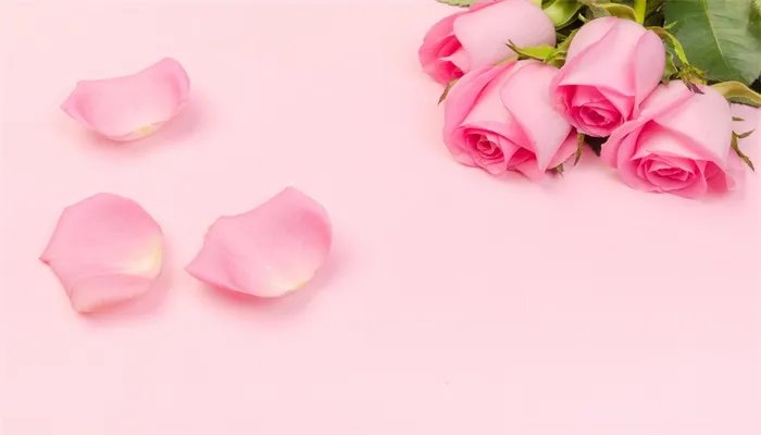 粉色玫瑰花语 粉色玫瑰的花语是什么