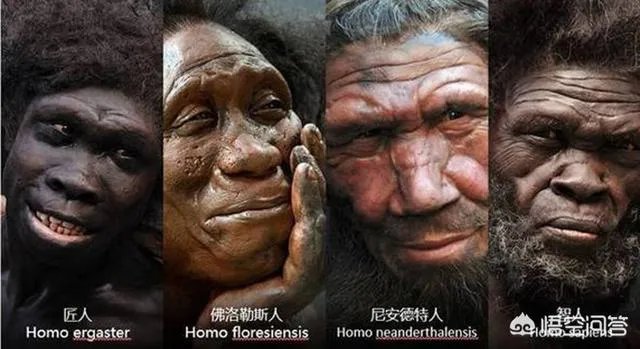 丹尼索瓦人最早哪里发现的？