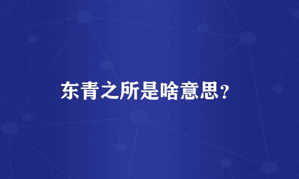 东青之所是啥意思？