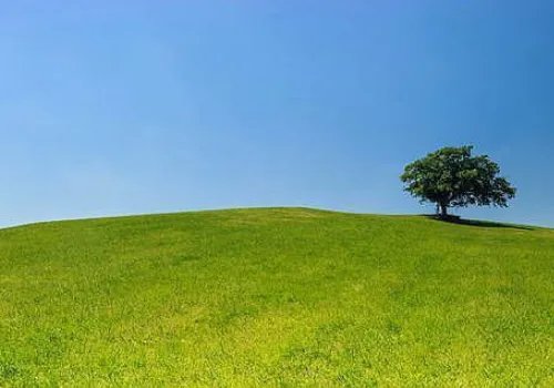 孤独到底是什么意思啊！