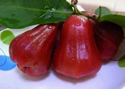 莲雾的吃法有哪些 吃莲雾有什么好处