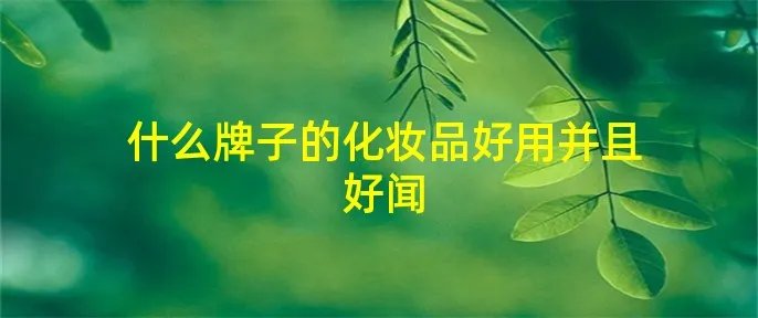 什么牌子的化妆品好用并且好闻