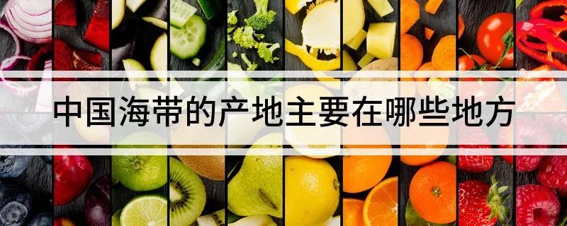中国海带的产地主要在哪里 中国海带的产地主要在哪些地方