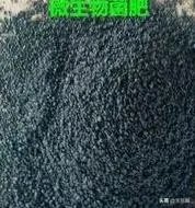 长期保存菌种的方法？