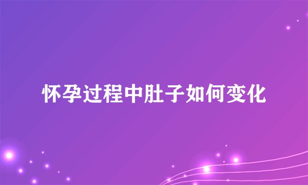 怀孕过程中肚子如何变化