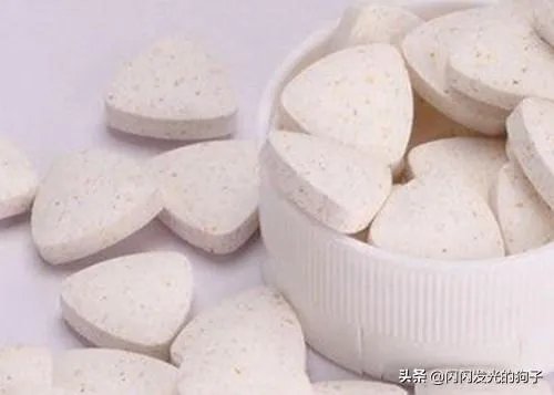 狗狗食欲不振是什么原因?