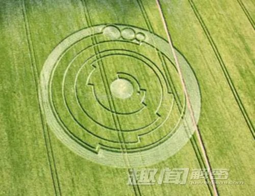 麦田怪圈之谜的详细介绍