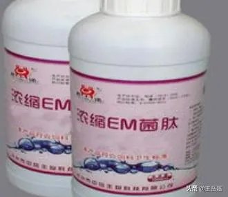 长期保存菌种的方法？