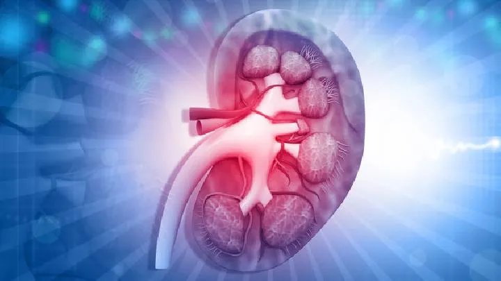 肾移植是怎么回事？