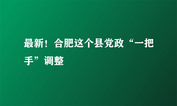最新！合肥这个县党政“一把手”调整
