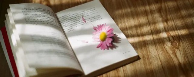 瑕不掩瑜什么意思 怎么理解瑕不掩瑜