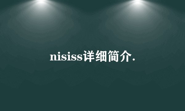 nisiss详细简介.