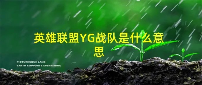 英雄联盟YG战队是什么意思
