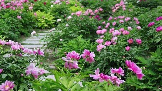 春日五首其一写了哪些景物.构成了一幅怎样的画面▽