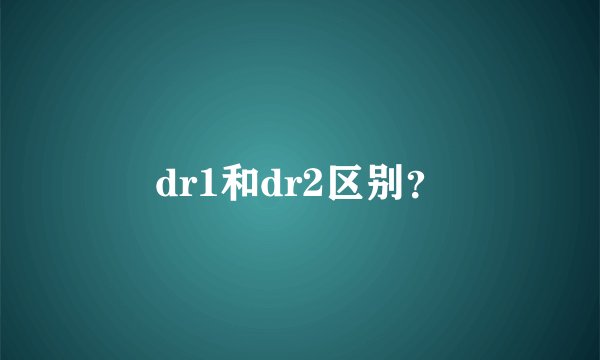 dr1和dr2区别？