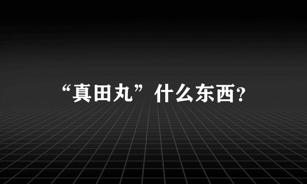 “真田丸”什么东西？