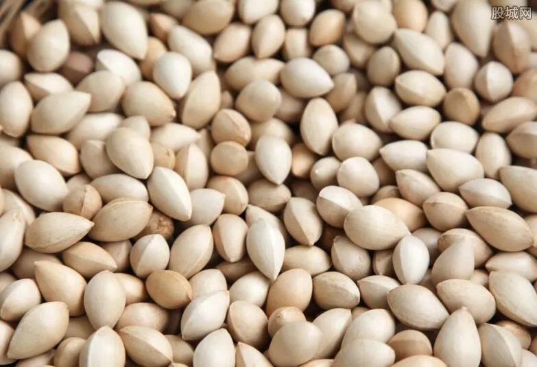 白果有什么功效与作用 白果价格多少钱