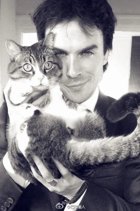 求伊恩·萨默海尔德的一张图及头像