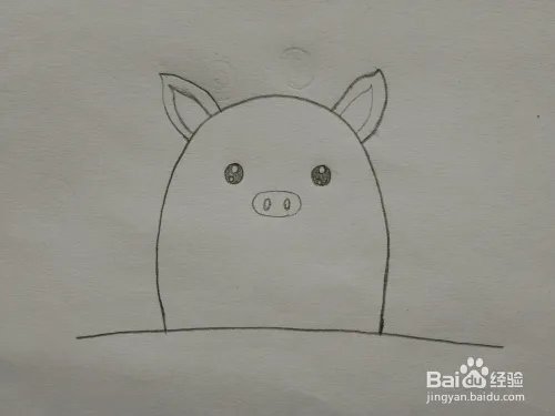 简笔画——怎么画萌猪