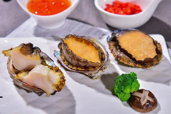 鲍鱼的功效与作用及营养