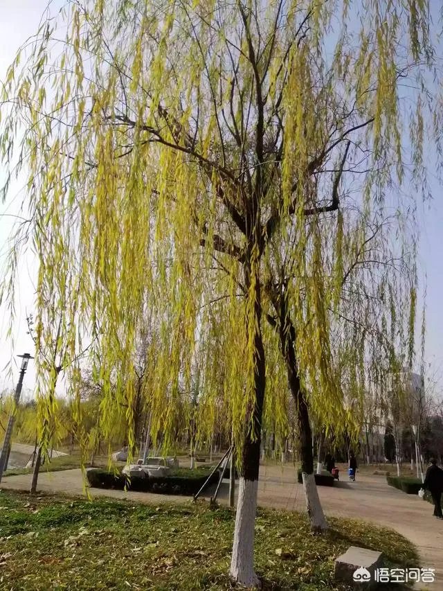 现在的90后是不是真的已经老了?