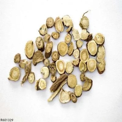 尘螨过敏性鼻炎用什么中药