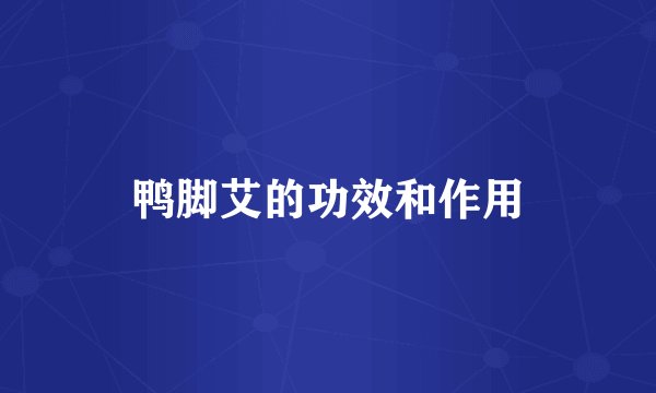 鸭脚艾的功效和作用