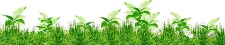 周一围为何一上《演员的诞生》就震住了三位导师？