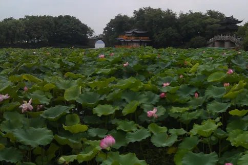 杭州西湖一日游最佳路线攻略