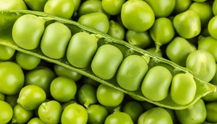 豆子的种类 豆子的种类有哪些