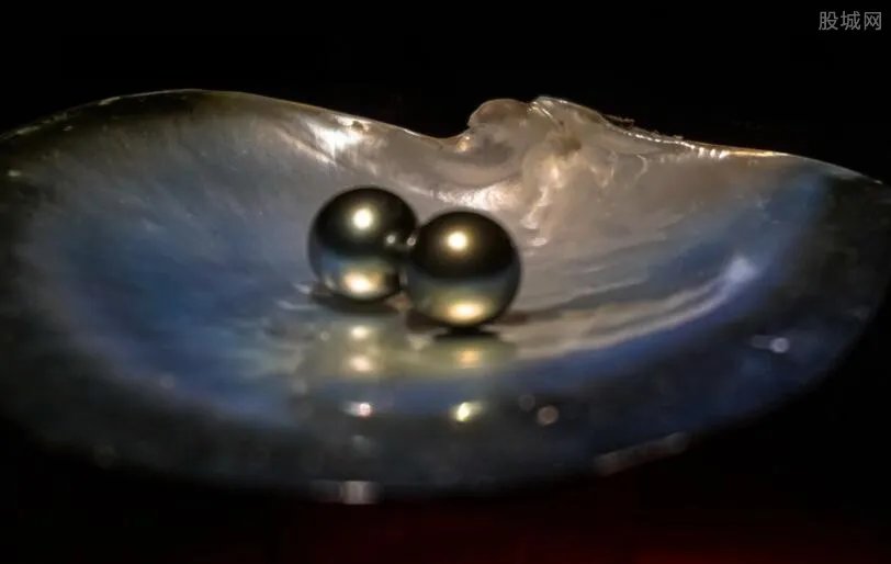 2017黑珍珠价格一般多少 黑珍珠最新市场价格一览