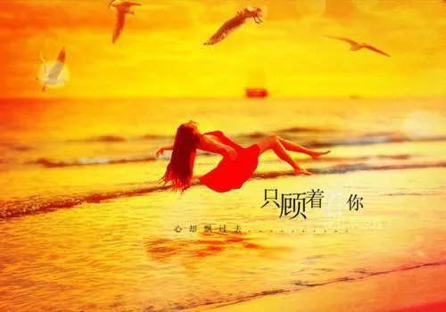 团宠千金的马甲被扒了免费阅读 慕离寒厉辰小说阅读