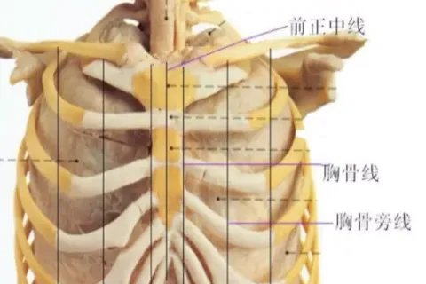胸骨线图片位置示意图