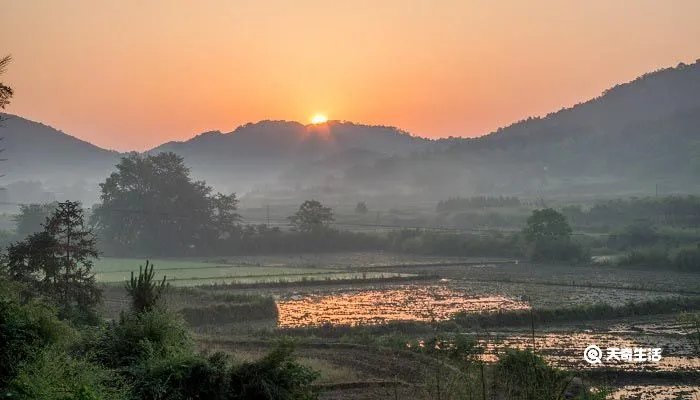 启明星形容人什么意思
